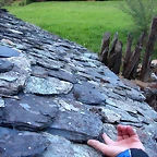 DSCN1810