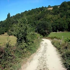 DSCN1699