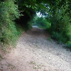 DSCN1802