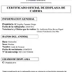 Certificado de displasia de cadera 20120831 Andy-1