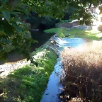 DSCN1743