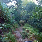 DSCN1823