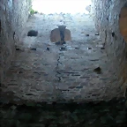 DSCN1831