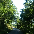 DSCN1710