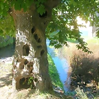 DSCN1744