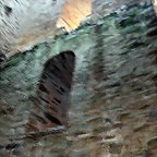 DSCN1833