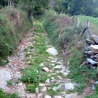 DSCN1818