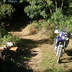 DSCN1784