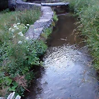 DSCN1805