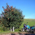 DSCN1758