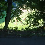 DSCN1790