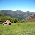 DSCN8516