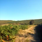 DSCN7717
