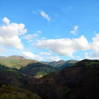 DSCN0905