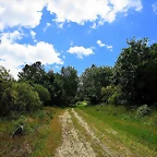 75-IMG_1546