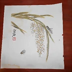 monjoy's, kanji y Nolla 010