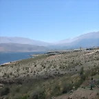 DSC08147