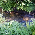DSCN2420