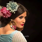Pasarela 12-2-2015 (42)