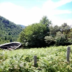 DSCN8330