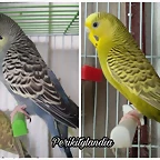 FB_IMG_1550747878738