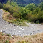 DSCN7944