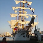 REGATA 2012 069