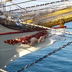 REGATA 2012 043