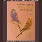 sorteo libro 4