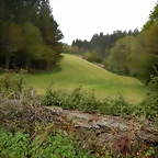 DSCN9209