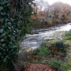 DSCN0758