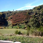 DSCN0082