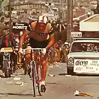 MERCKX-MONYJUIT