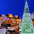 navidad
