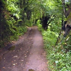 DSCN4755