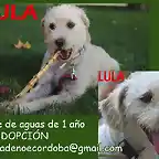 LULA Crdoba