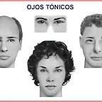 ojos tonicos