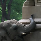 Argentina 2010 046