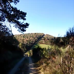 DSCN8838
