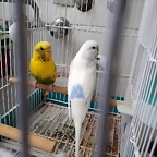 20180831_103139