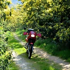 16-IMG_5413