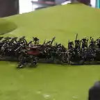 Warhammer Batalla Legendaria