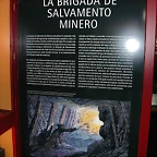 DSCN4110