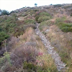 DSCN4218