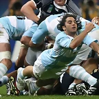 agustin-pichot-palomita