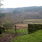 DSCN5606