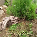 IMG_20200418_115125086