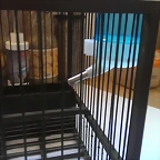 IMAG1731