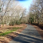 DSCN2880
