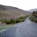DSCN4004